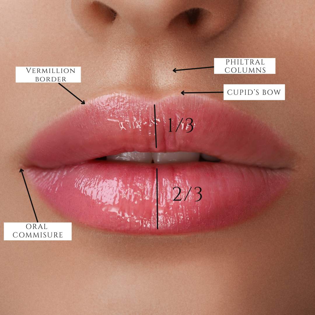 Lip Filler Injection Points